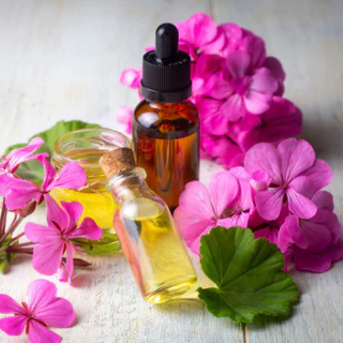 Geranium Oil